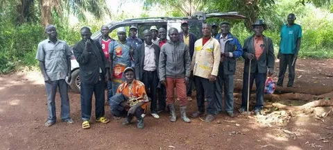 Comite de reviseur